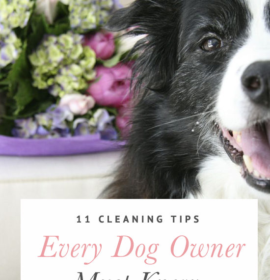11 Cleaning Tricks Pet Owners Need to Know