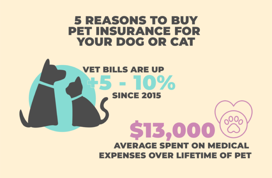 5 Reasons To Buy Dog Insurance