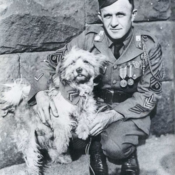 8 Famous War Dogs