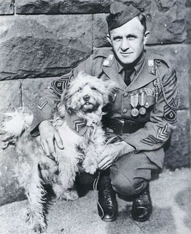 8 Famous War Dogs