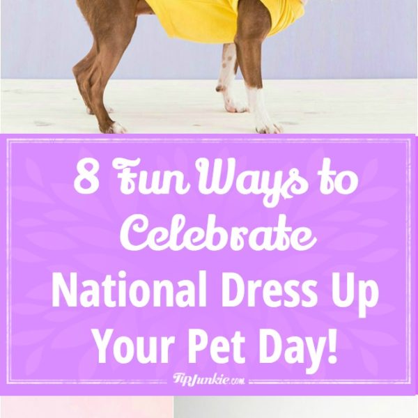 8 Fun Ways to Dress Up Your Dog