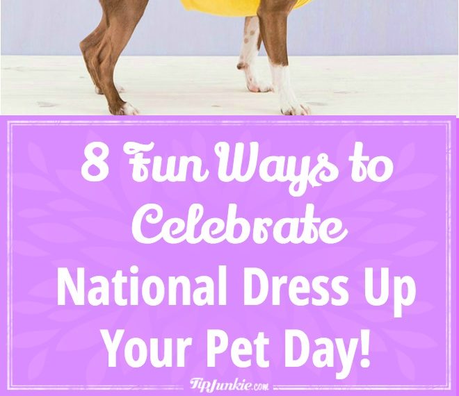 8 Fun Ways to Dress Up Your Dog