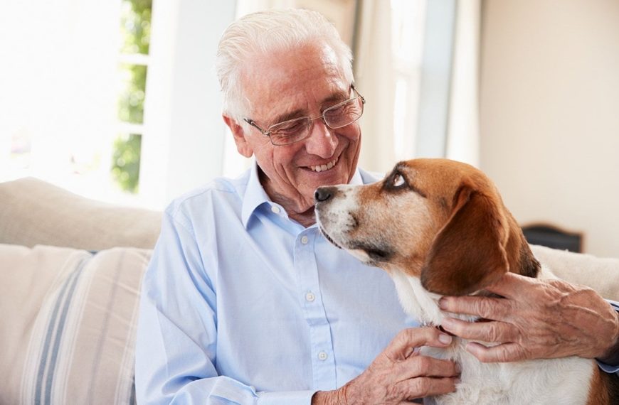 8 Worst Dog Breeds For Seniors